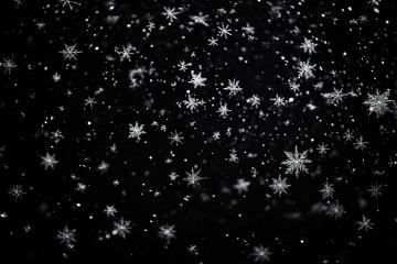 Sparse snowflakes on a black background, varying focus
- Stock Photo or Stock Video of rcfotostock | RC Photo Stock