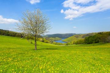 Sping in the eifel landscape in germany- Stock Photo or Stock Video of rcfotostock | RC Photo Stock