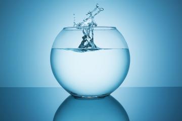 splashing water in a fishbowl- Stock Photo or Stock Video of rcfotostock | RC Photo Stock