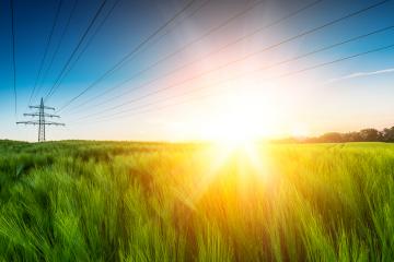 Sun emits explosive over wheat field : Stock Photo or Stock Video Download rcfotostock photos, images and assets rcfotostock | RC Photo Stock.: