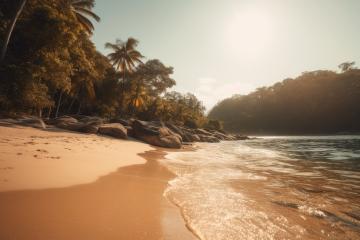 Sunrise at a Tranquil Tropical Beach with Ocean Waves, Scenic Landscape, and Palm Tree Silhouette, generative AI- Stock Photo or Stock Video of rcfotostock | RC Photo Stock
