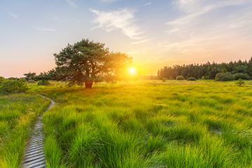 sunset at the Hautes Fagnes- Stock Photo or Stock Video of rcfotostock | RC-Photo-Stock