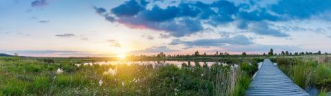 sunset panorama at the Hautes Fagnes : Stock Photo or Stock Video Download rcfotostock photos, images and assets rcfotostock | RC Photo Stock.: