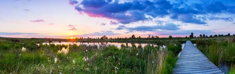 sunset panorama at the Hautes Fagnes hohes venn- Stock Photo or Stock Video of rcfotostock | RC-Photo-Stock