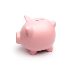 Sweet Pink piggy on white background- Stock Photo or Stock Video of rcfotostock | RC Photo Stock