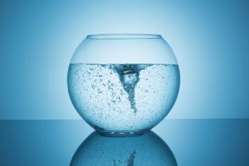swirl in a fishbowl : Stock Photo or Stock Video Download rcfotostock photos, images and assets rcfotostock | RC-Photo-Stock.: