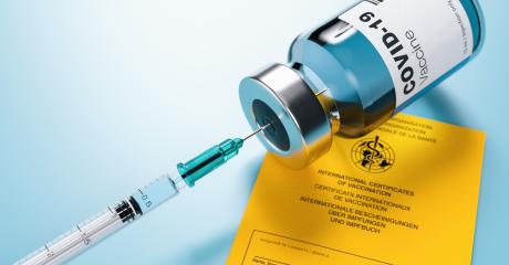 syringe, vial and yellow international certificate of vaccination, Vaccine concept - 3D illustration- Stock Photo or Stock Video of rcfotostock | RC Photo Stock