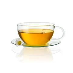 teapot glass with chamomile daisy hot drink medicine isolated on white background with reflection- Stock Photo or Stock Video of rcfotostock | RC Photo Stock