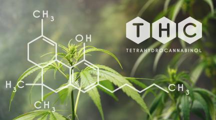 THC Chemical Formula, Beautiful background of green cannabis flowers A place for copy space- Stock Photo or Stock Video of rcfotostock | RC-Photo-Stock