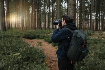 The tourist takes a picture with his camera on his trip in a beautiful forest at sunset. A small hiking trail conifers and fir trees.- Stock Photo or Stock Video of rcfotostock | RC-Photo-Stock