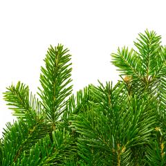 tight fir branches background- Stock Photo or Stock Video of rcfotostock | RC-Photo-Stock