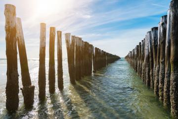 Timber Piles : Stock Photo or Stock Video Download rcfotostock photos, images and assets rcfotostock | RC Photo Stock.: