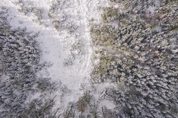Top view of winter forest with sunlight. Drone Shot : Stock Photo or Stock Video Download rcfotostock photos, images and assets rcfotostock | RC Photo Stock.: