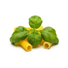 Tortiglioni pasta noodels with basil leaf- Stock Photo or Stock Video of rcfotostock | RC Photo Stock