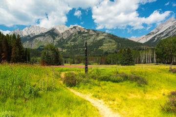 Trekking trail in to the rocky mountains at banff canada : Stock Photo or Stock Video Download rcfotostock photos, images and assets rcfotostock | RC Photo Stock.: