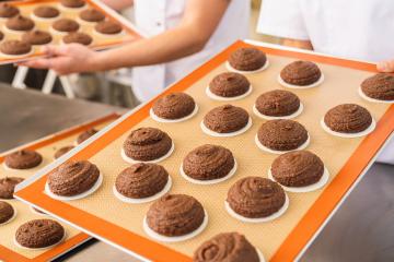 Two bakers hold trays filled with raw gingerbread rounds on baking wafers, prepared for baking in a professional bakery, showcasing the artisanal baking process : Stock Photo or Stock Video Download rcfotostock photos, images and assets rcfotostock | RC Photo Stock.:
