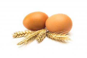 Two eggs with cereals- Stock Photo or Stock Video of rcfotostock | RC-Photo-Stock