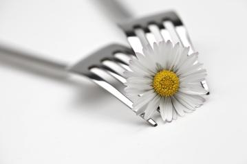 two forks with daisies : Stock Photo or Stock Video Download rcfotostock photos, images and assets rcfotostock | RC Photo Stock.: