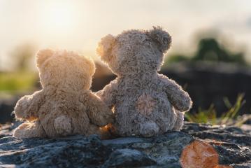 Two teddy bear toys sitting on a stone and holding hands with sunset light, rear view. Love theme. Greeting or gift card design idea.- Stock Photo or Stock Video of rcfotostock | RC-Photo-Stock