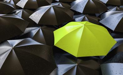 Unique green umbrella among many dark ones. Standing out from crowd, individuality and difference concept- Stock Photo or Stock Video of rcfotostock | RC Photo Stock