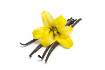 Vanilla pods and orchid flower- Stock Photo or Stock Video of rcfotostock | RC-Photo-Stock