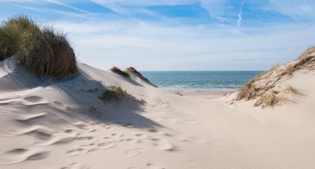 view from the dunes to the North in the Netherlands- Stock Photo or Stock Video of rcfotostock | RC Photo Stock