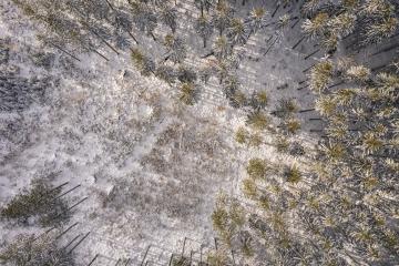 view of a winter forest at sunset, drone shot- Stock Photo or Stock Video of rcfotostock | RC Photo Stock