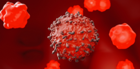 virus on a red background inside human body, medical concept image- Stock Photo or Stock Video of rcfotostock | RC Photo Stock