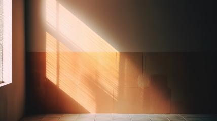 Warm sunlight filters through a window, casting sharp shadows on the wall- Stock Photo or Stock Video of rcfotostock | RC Photo Stock