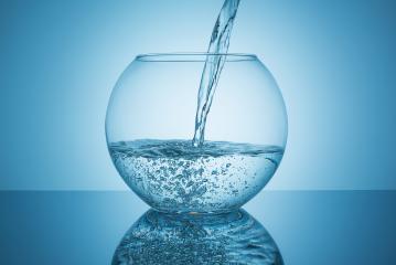 water flows in a fishbowl- Stock Photo or Stock Video of rcfotostock | RC-Photo-Stock