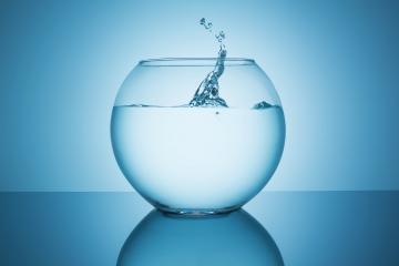 water splash in a fishbowl : Stock Photo or Stock Video Download rcfotostock photos, images and assets rcfotostock | RC Photo Stock.: