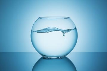 water waves in a fishbowl- Stock Photo or Stock Video of rcfotostock | RC-Photo-Stock