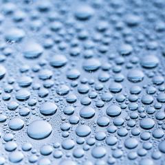 waterdrops lotus effect- Stock Photo or Stock Video of rcfotostock | RC Photo Stock