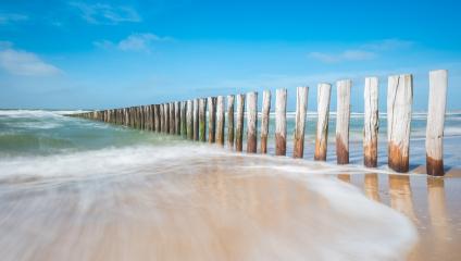 Wave breaker made of wooden stakes on the beach- Stock Photo or Stock Video of rcfotostock | RC Photo Stock