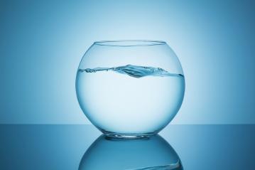 waves in the fishbowl : Stock Photo or Stock Video Download rcfotostock photos, images and assets rcfotostock | RC-Photo-Stock.: