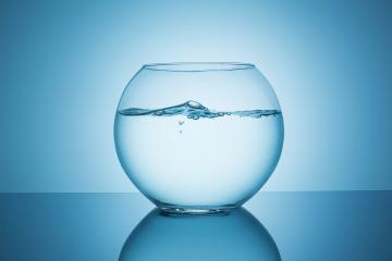 wavy water in a fishbowl- Stock Photo or Stock Video of rcfotostock | RC-Photo-Stock
