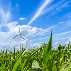 windmill wind turbine wind farm forwards cloudy sky and field : Stock Photo or Stock Video Download rcfotostock photos, images and assets rcfotostock | RC Photo Stock.: