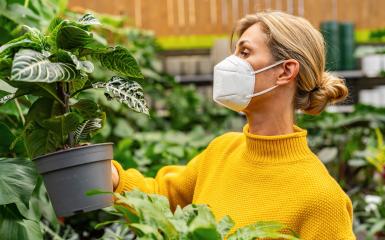 Woman in Face-Mask Admiring a Potted Zebra Plant in a garden center at corona pandemic : Stock Photo or Stock Video Download rcfotostock photos, images and assets rcfotostock | RC Photo Stock.: