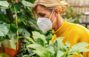 Woman in Face-Mask Admiring a Potted Zebra Plant in a Supermarket at corona pandemic : Stock Photo or Stock Video Download rcfotostock photos, images and assets rcfotostock | RC Photo Stock.:
