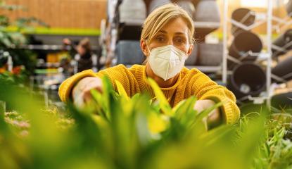 woman wearing a protective face mask, is carefully selecting plants in an indoor nursery, holding a potted green plant with intense focus. : Stock Photo or Stock Video Download rcfotostock photos, images and assets rcfotostock | RC Photo Stock.: