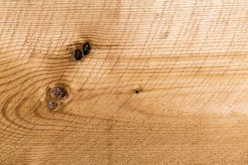 Wood tree board texture pattern- Stock Photo or Stock Video of rcfotostock | RC Photo Stock