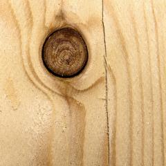 Wood tree board texture pattern- Stock Photo or Stock Video of rcfotostock | RC-Photo-Stock
