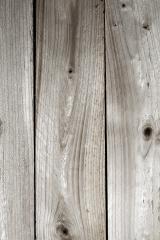 Wood tree boards texture pattern : Stock Photo or Stock Video Download rcfotostock photos, images and assets rcfotostock | RC-Photo-Stock.: