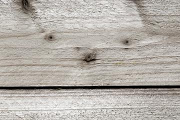Wood tree boards texture pattern- Stock Photo or Stock Video of rcfotostock | RC Photo Stock