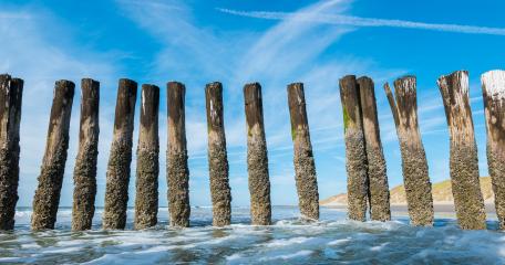 wooden wave breakers at a summer day- Stock Photo or Stock Video of rcfotostock | RC-Photo-Stock