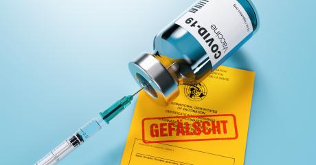 yellow international certificate of vaccination with letters Gefälscht ( German for: Fake or forged ) and syringe and vial Vaccine concept - 3D illustration : Stock Photo or Stock Video Download rcfotostock photos, images and assets rcfotostock | RC-Photo-Stock.: