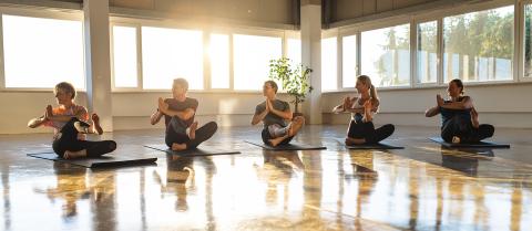 Yoga class practicing seated poses, sunlit room with glossy floor- Stock Photo or Stock Video of rcfotostock | RC Photo Stock