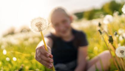 young girl holding a dandelion close to the camera, with the sunny field full of dandelions blurred in the background. The image captures the joy of childhood and nature on a bright spring day. : Stock Photo or Stock Video Download rcfotostock photos, images and assets rcfotostock | RC Photo Stock.: