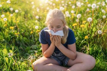 young girl sits in a field of dandelions, holding a handkerchief to her nose, showing signs of allergies. The bright sunlight and blooming flowers highlight the springtime setting. : Stock Photo or Stock Video Download rcfotostock photos, images and assets rcfotostock | RC Photo Stock.:
