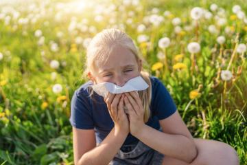 young girl sits in a field of dandelions, holding a handkerchief to her nose, showing signs of allergies. The bright sunlight and blooming flowers highlight the springtime setting : Stock Photo or Stock Video Download rcfotostock photos, images and assets rcfotostock | RC Photo Stock.: